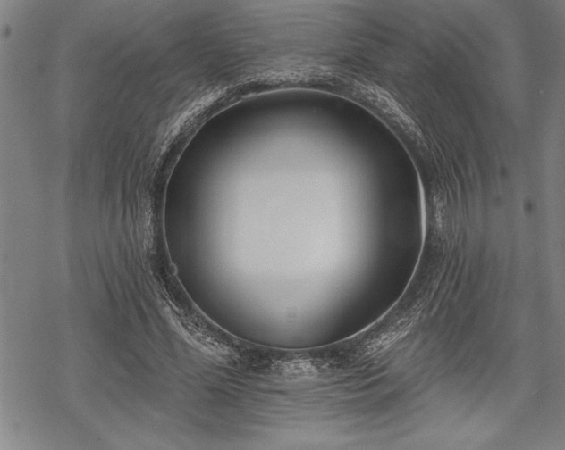 X0000069380588200605150919