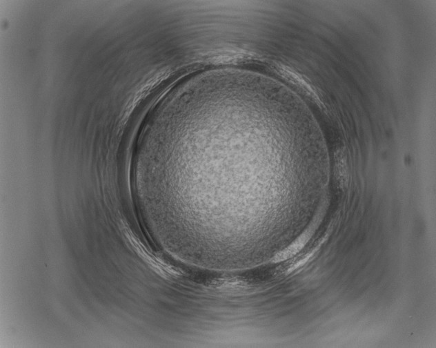 X0000069380589200605150919