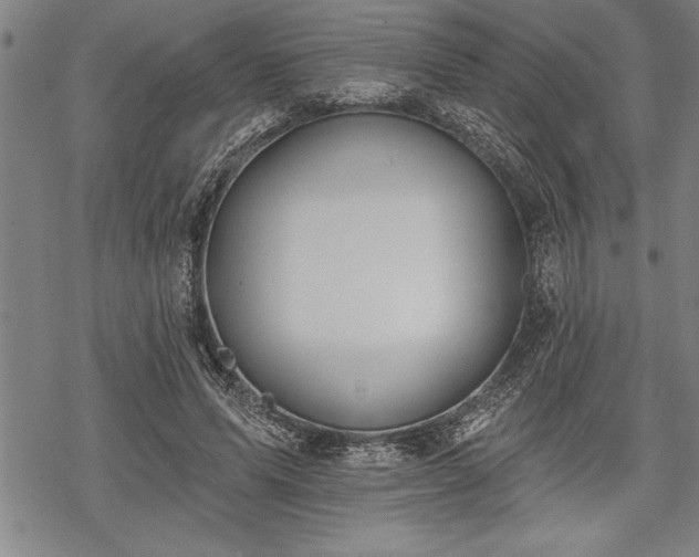 X0000069380591200605150919