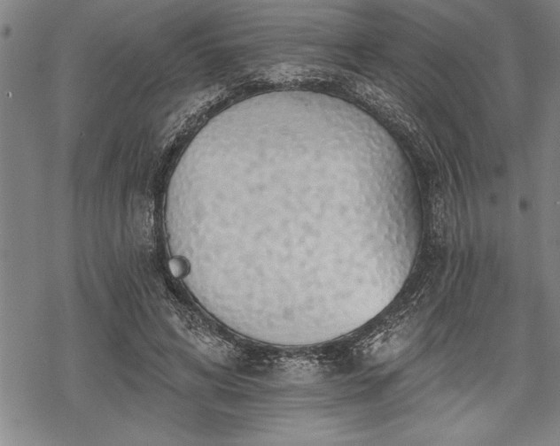 X0000069380592200605150919