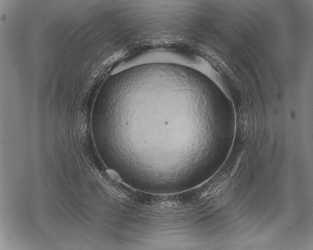 X0000069380593200605150919