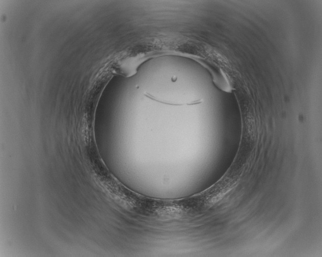 X0000069380594200605150919