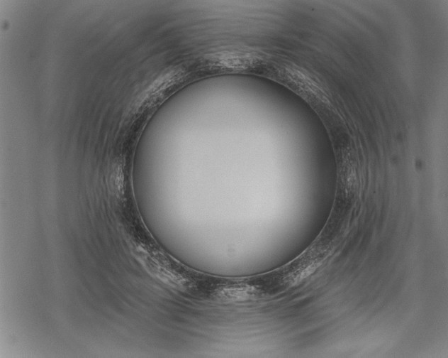 X0000069380595200605150919