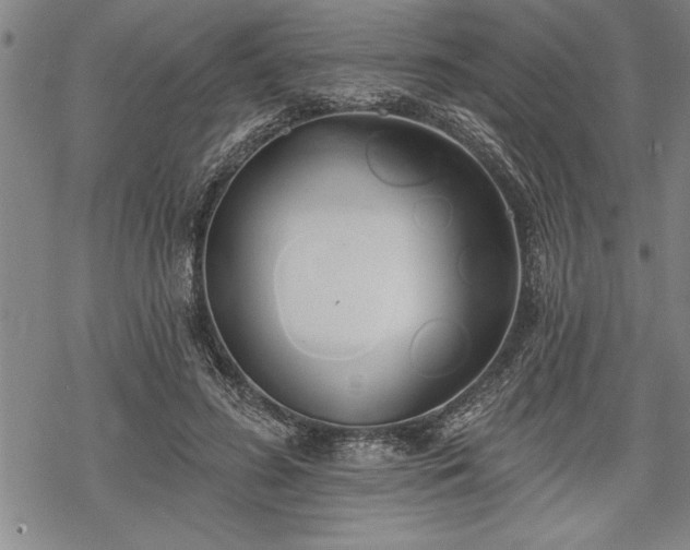 X0000069380596200605150919