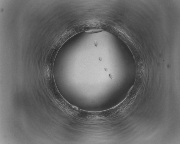 X0000069380597200605150919