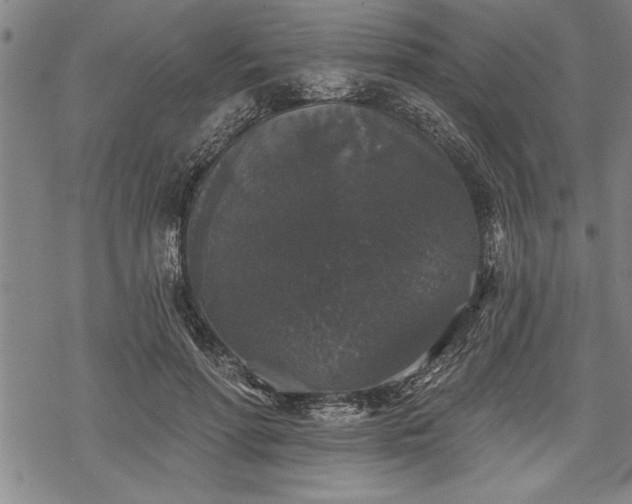 X0000069380598200605150919