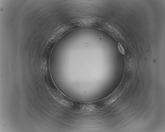 X0000069380599200605150919