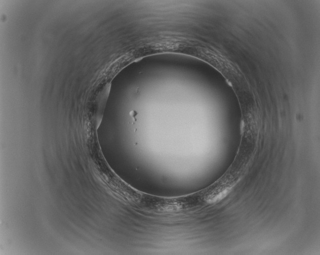 X0000069380600200605150919