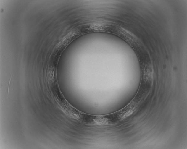 X0000069380603200605150919