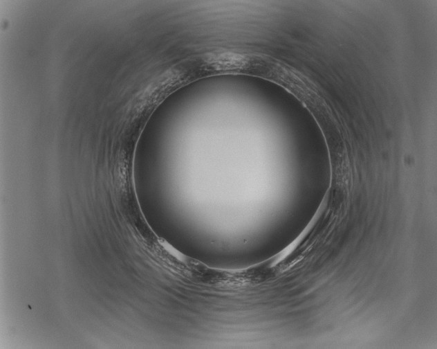 X0000069380604200605150919