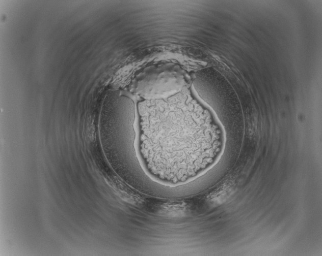 X0000069380606200605150919