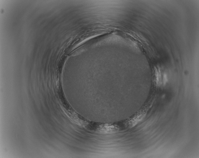 X0000069380607200605150919