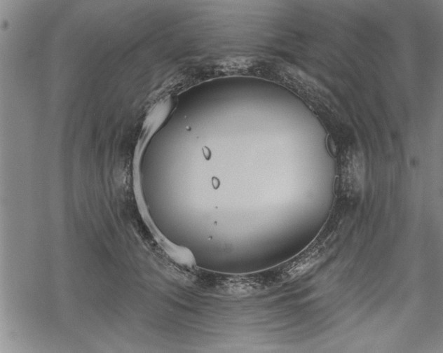 X0000069380608200605150919