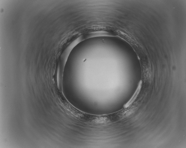 X0000069380609200605150919