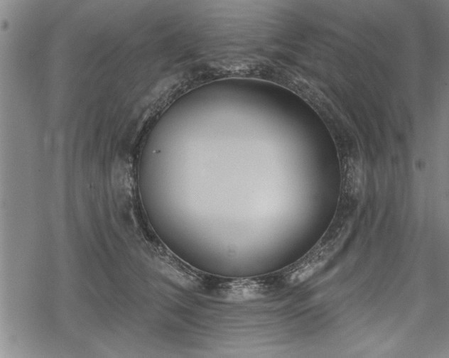 X0000069380612200605150919