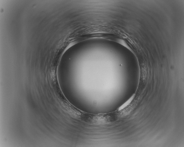 X0000069380613200605150919