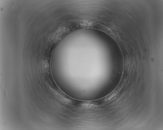 X0000069380614200605150919