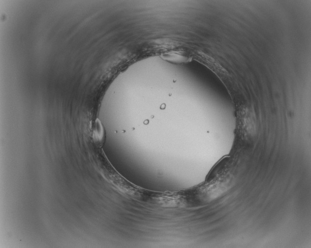 X0000069380615200605150919