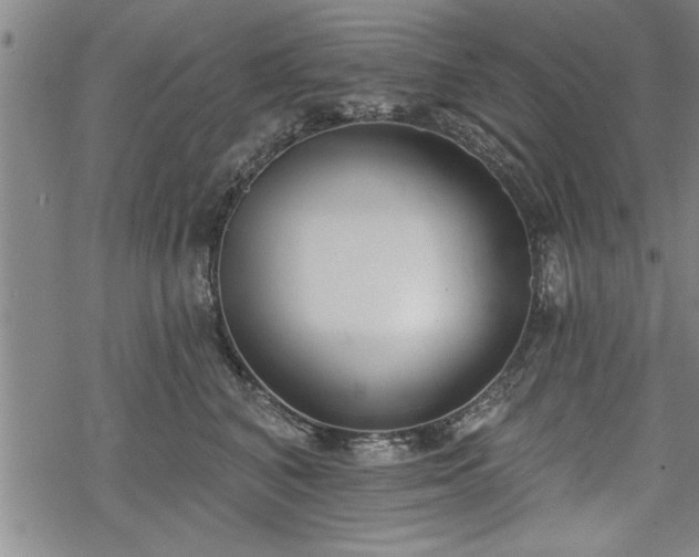 X0000069380616200605150919