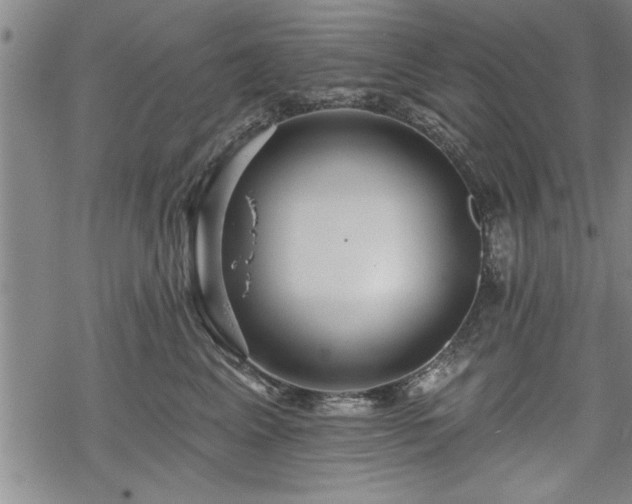 X0000069380617200605150919