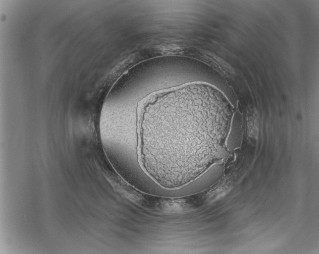 X0000069380618200605150919