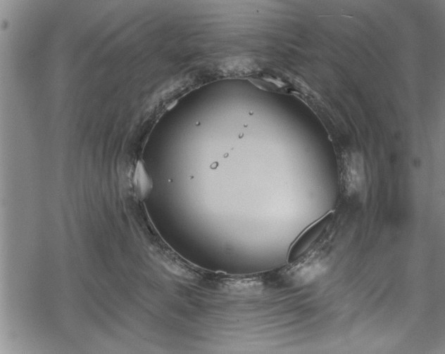 X0000069380619200605150919