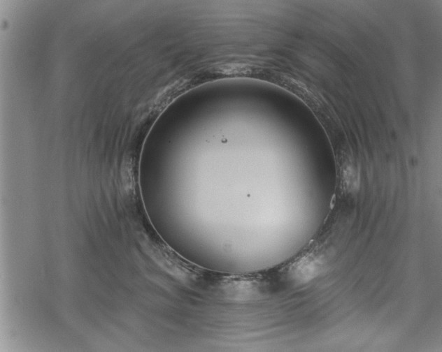 X0000069380620200605150919