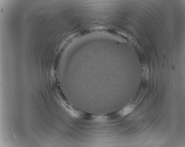 X0000069380621200605150919