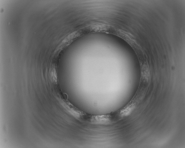 X0000069380622200605150919