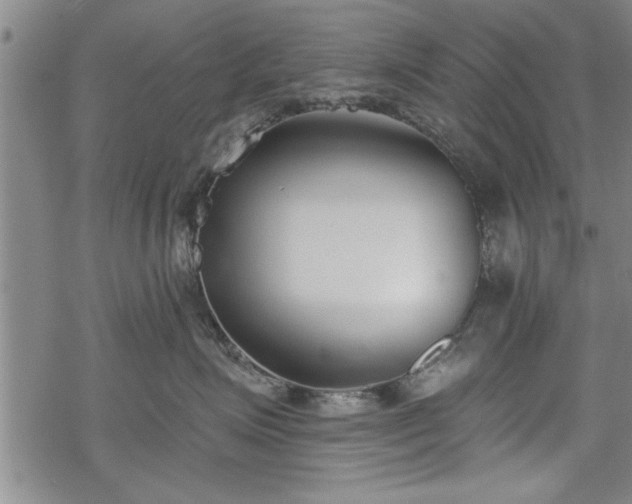 X0000069380623200605150919