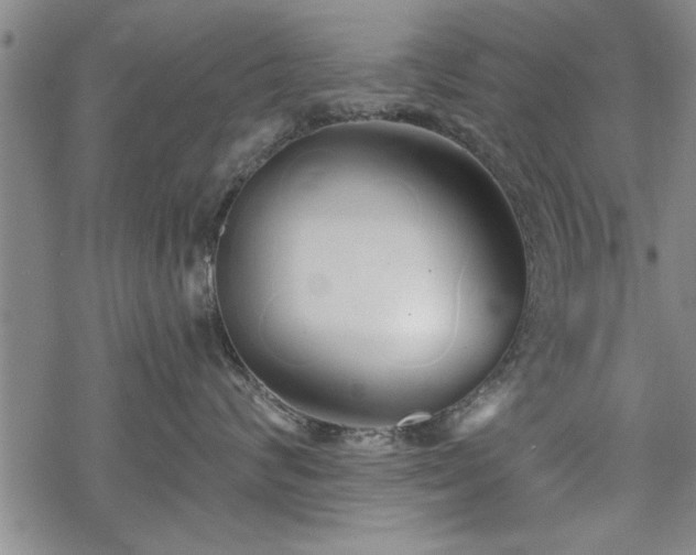 X0000069380624200605150919