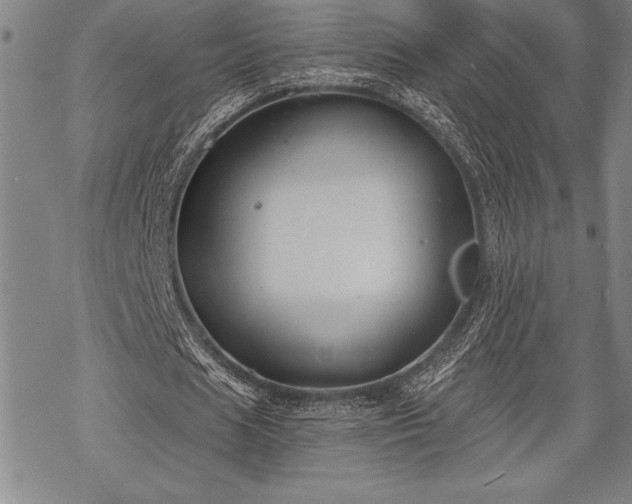 X0000069380625200605150918