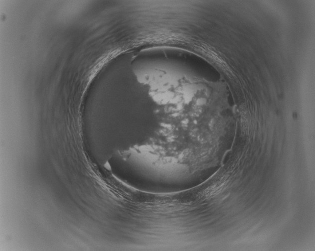 X0000069380626200605150918