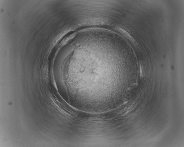 X0000069380627200605150918