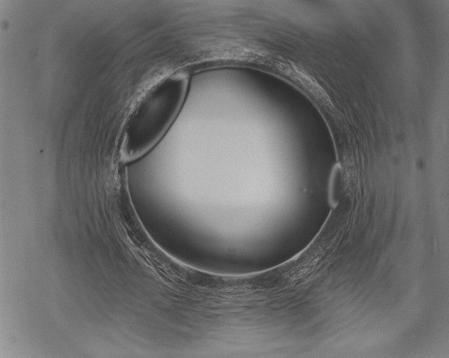 X0000069380628200605150918