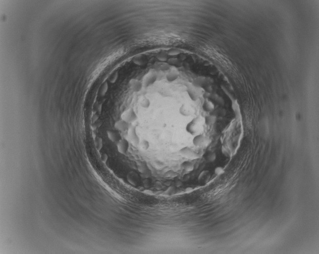 X0000069380630200605150918