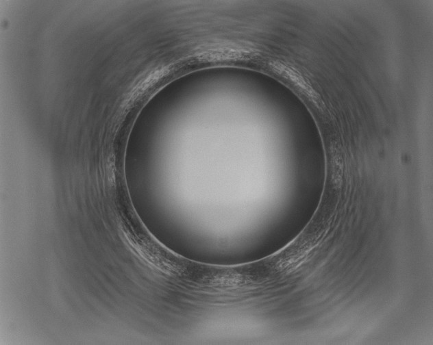 X0000069380631200605150918