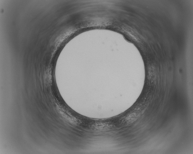 X0000069380632200605150918