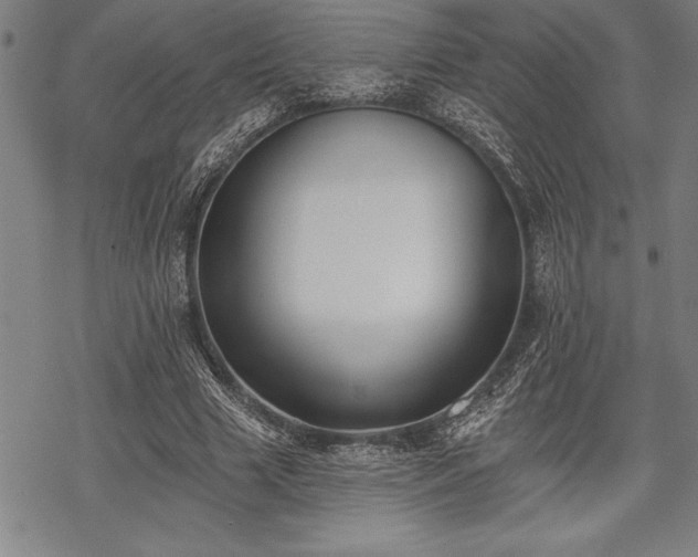 X0000069380633200605150918