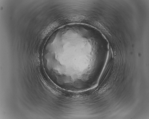 X0000069380634200605150918