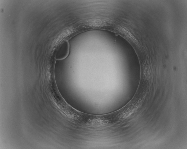 X0000069380635200605150918