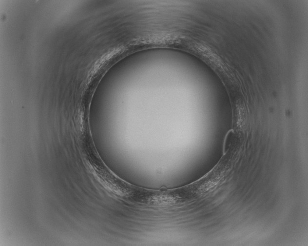 X0000069380636200605150918