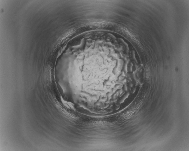 X0000069380637200605150918