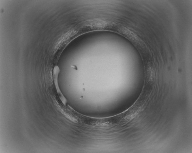 X0000069380638200605150918