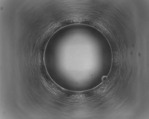 X0000069380639200605150918