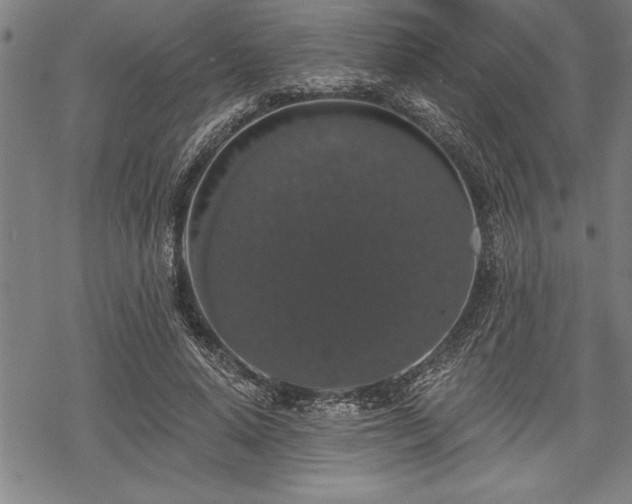 X0000069380640200605150918