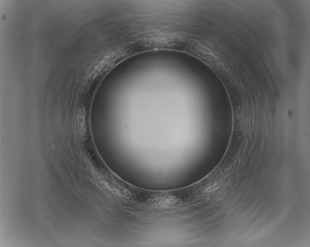 X0000069380642200605150918