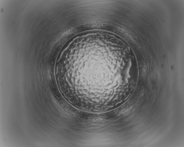 X0000069380643200605150918