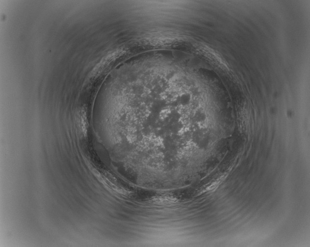 X0000069380644200605150918