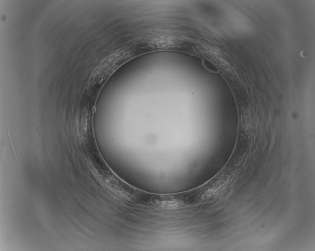 X0000069380645200605150918